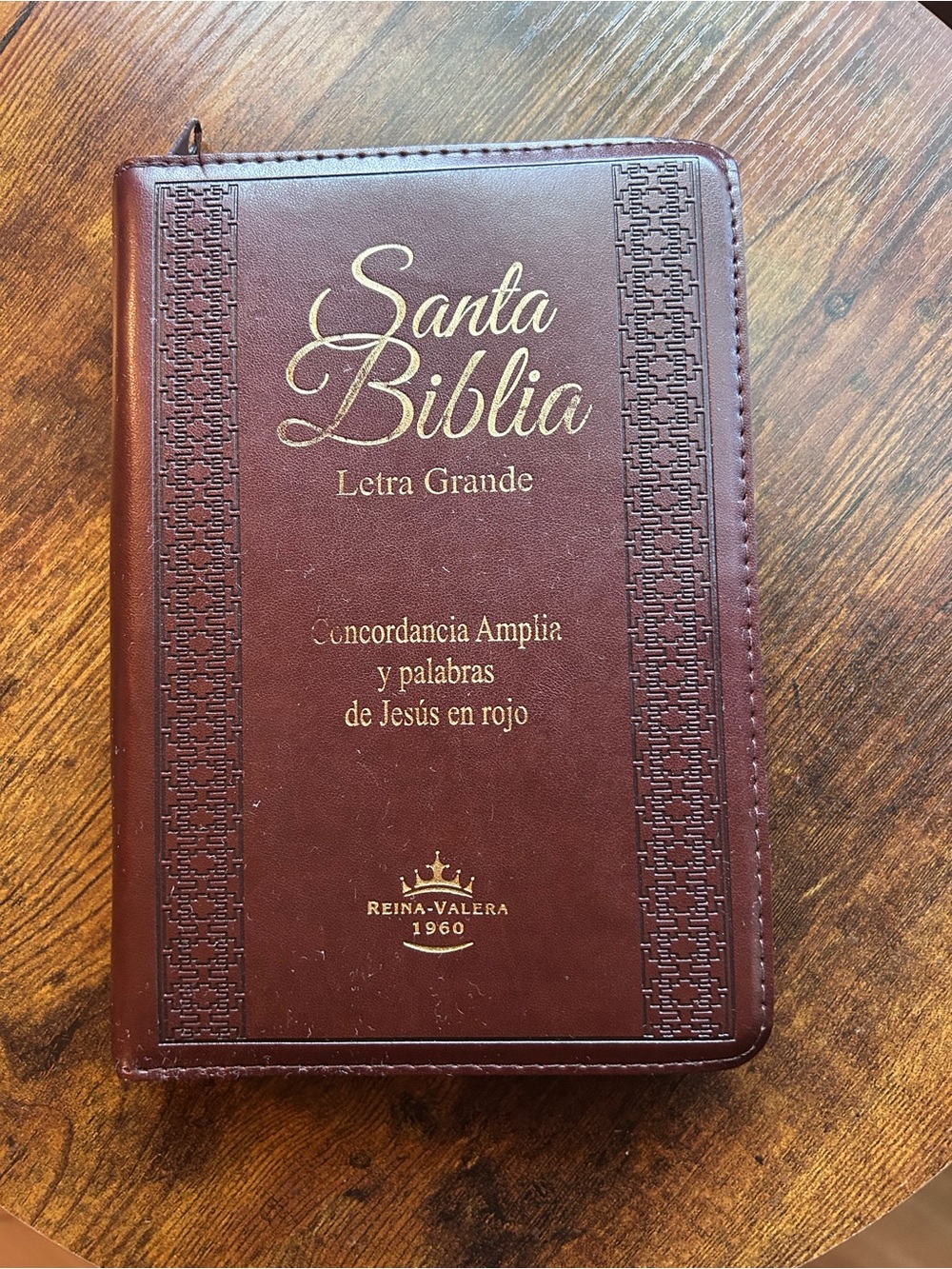 Santa Biblia Letra Grande Reina-Valera 1960 RVR60 Spanish Large Print Bible